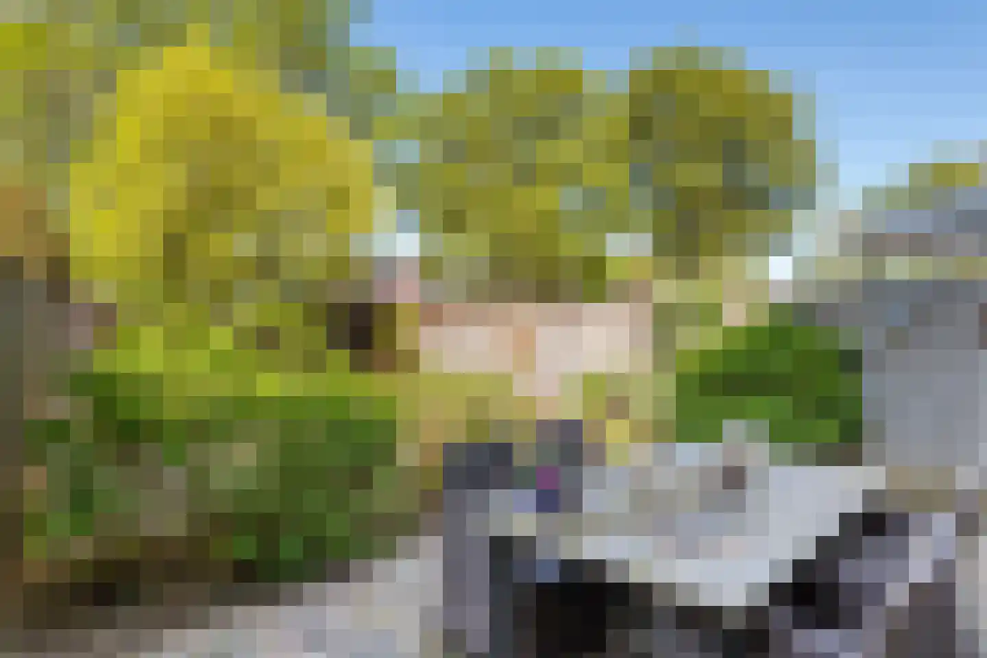 Frijnheuvel 70 Druten thumbnail 27