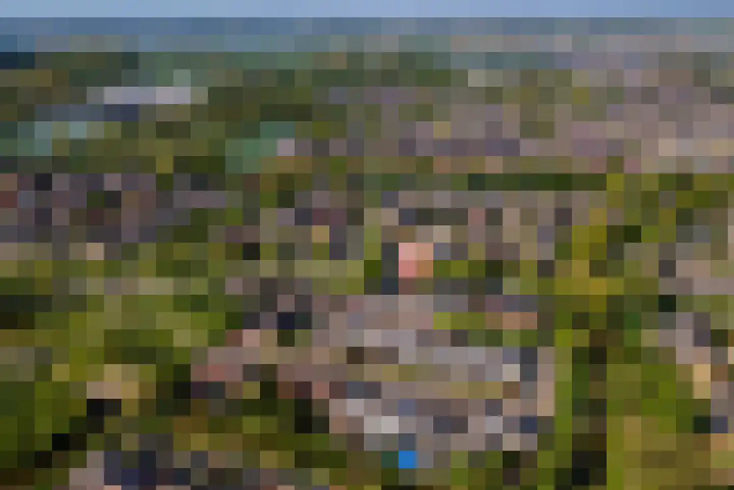 Frijnheuvel 70 Druten thumbnail 30