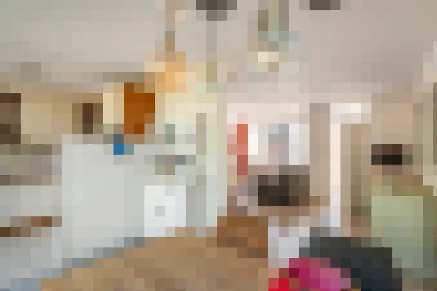 Frijnheuvel 70 Druten thumbnail 8