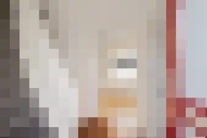 Frijstêd 11 Damwâld thumbnail 11