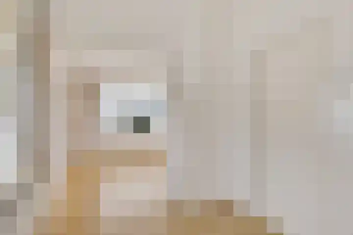 Frijstêd 11 Damwâld thumbnail 12