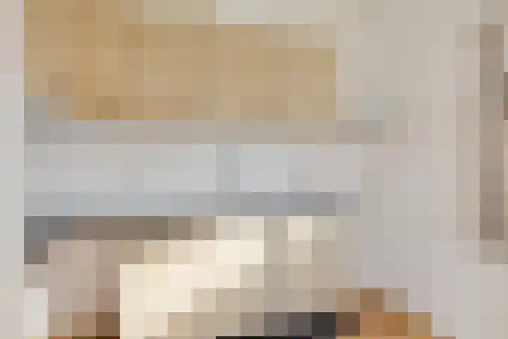 Frijstêd 11 Damwâld thumbnail 14