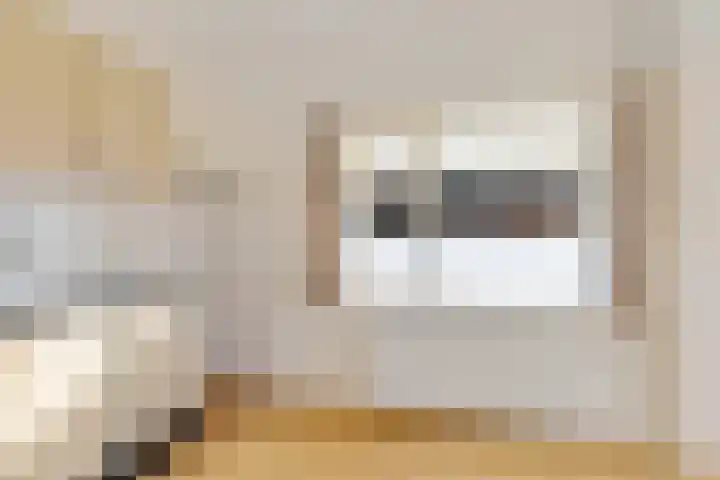 Frijstêd 11 Damwâld thumbnail 15