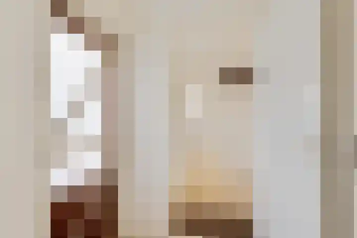 Frijstêd 11 Damwâld thumbnail 20