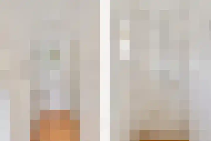 Frijstêd 11 Damwâld thumbnail 21