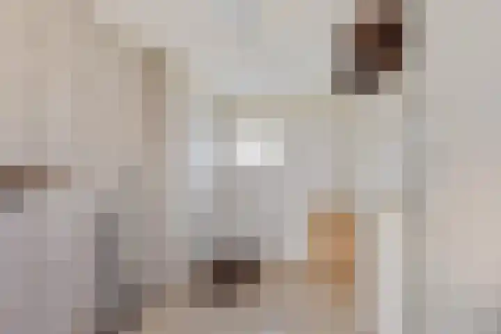 Frijstêd 11 Damwâld thumbnail 23