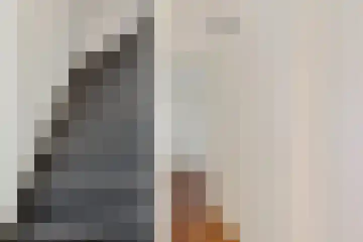Frijstêd 11 Damwâld thumbnail 24