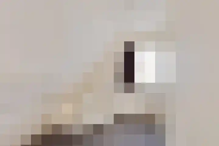 Frijstêd 11 Damwâld thumbnail 25