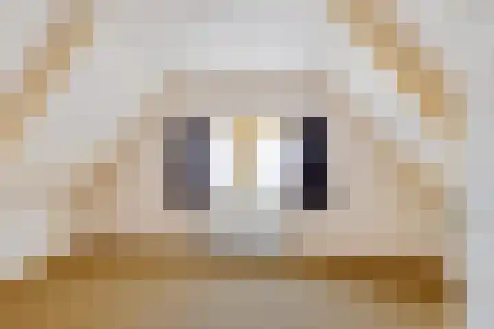 Frijstêd 11 Damwâld thumbnail 27