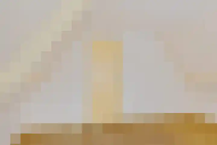 Frijstêd 11 Damwâld thumbnail 28
