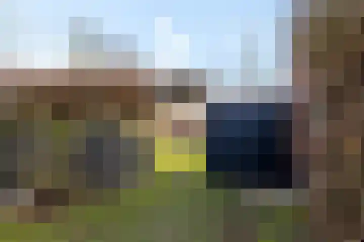 Frijstêd 11 Damwâld thumbnail 32