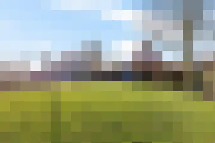 Frijstêd 11 Damwâld thumbnail 34