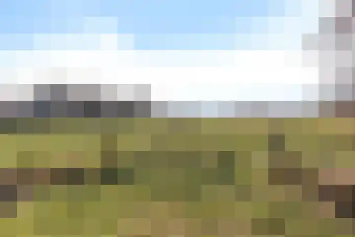 Frijstêd 11 Damwâld thumbnail 35