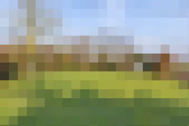 Frijstêd 11 Damwâld thumbnail 36