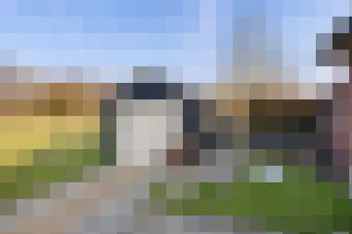 Frijstêd 11 Damwâld thumbnail 37