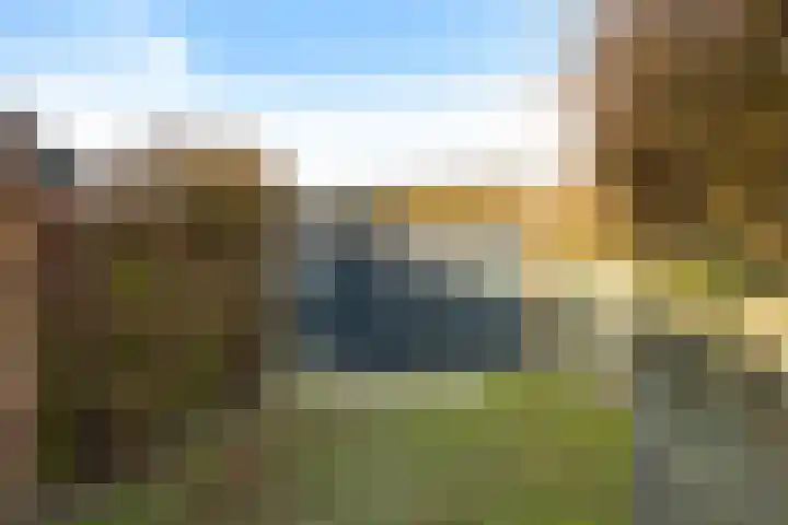 Frijstêd 11 Damwâld thumbnail 39