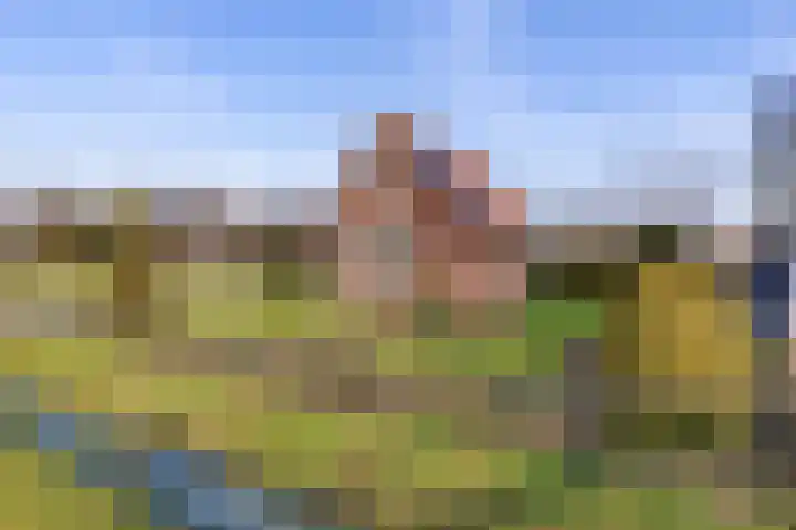 Frijstêd 11 Damwâld thumbnail 4