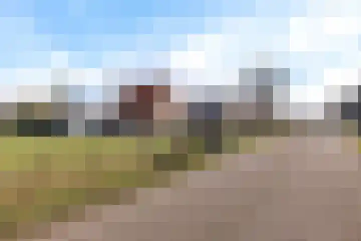 Frijstêd 11 Damwâld thumbnail 40