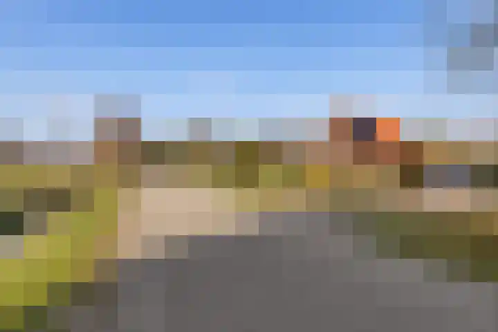 Frijstêd 11 Damwâld thumbnail 41