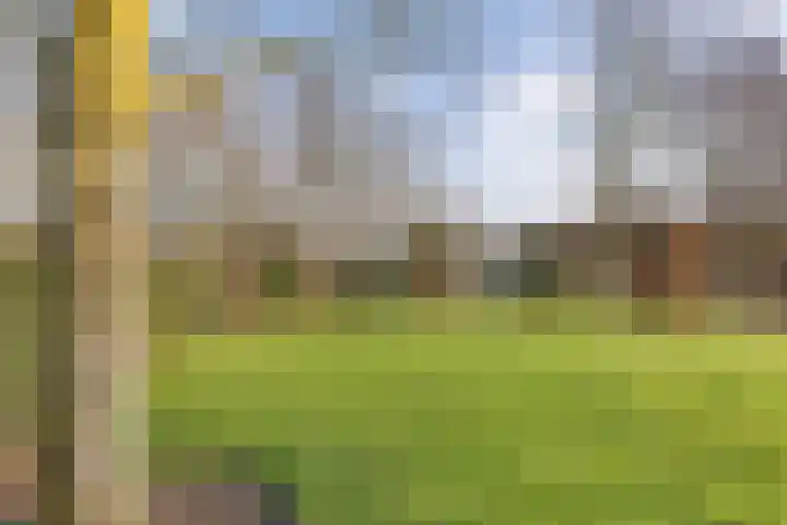 Frijstêd 11 Damwâld thumbnail 42