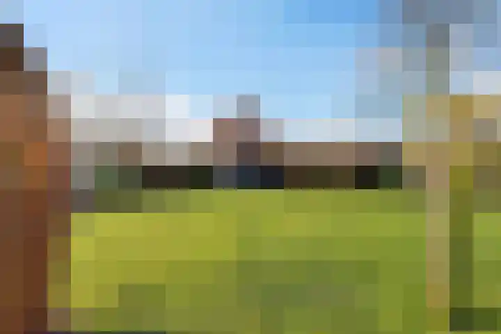 Frijstêd 11 Damwâld thumbnail 5