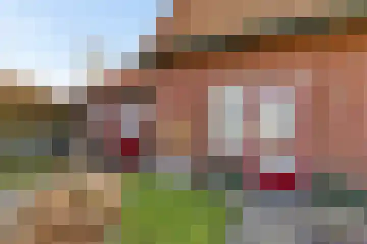 Frijstêd 11 Damwâld thumbnail 7
