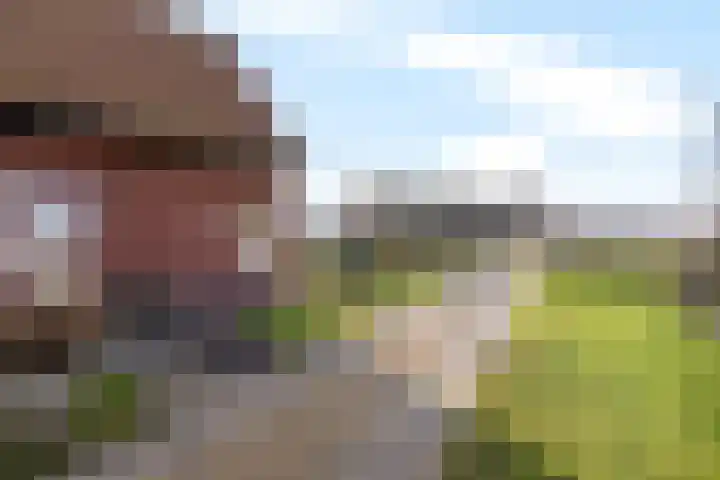 Frijstêd 11 Damwâld thumbnail 8