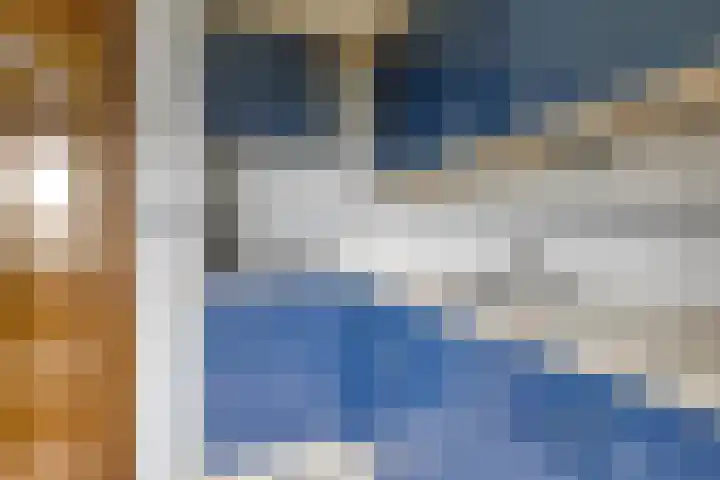 Frijstêd 12 Damwâld thumbnail 13