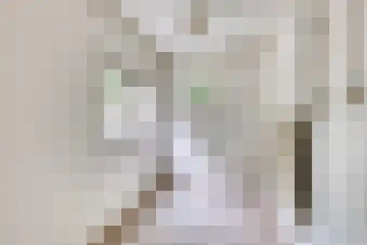 Frijstêd 12 Damwâld thumbnail 15