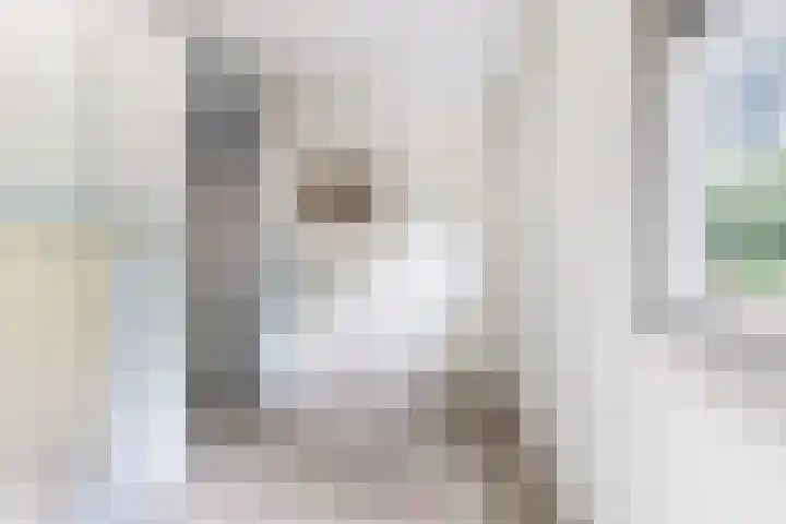 Frijstêd 12 Damwâld thumbnail 16
