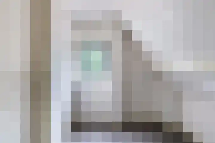 Frijstêd 12 Damwâld thumbnail 17