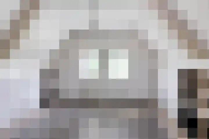 Frijstêd 12 Damwâld thumbnail 18