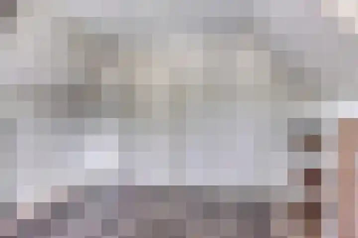 Frijstêd 12 Damwâld thumbnail 19