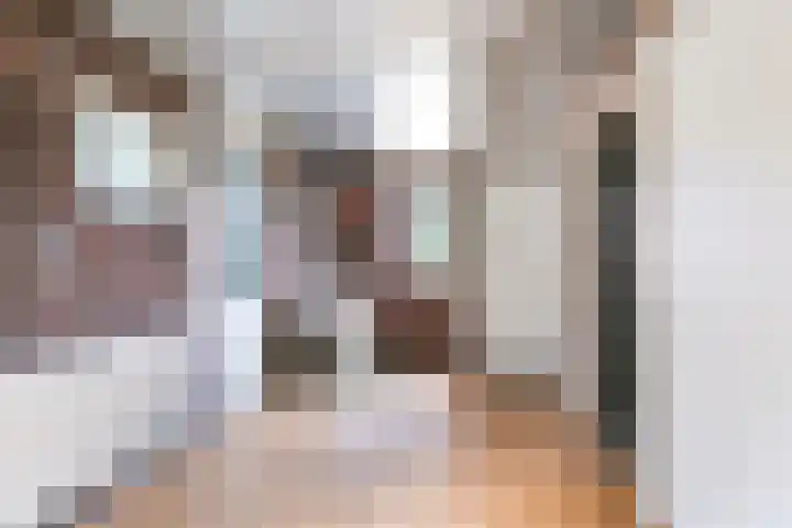 Frijstêd 12 Damwâld thumbnail 21