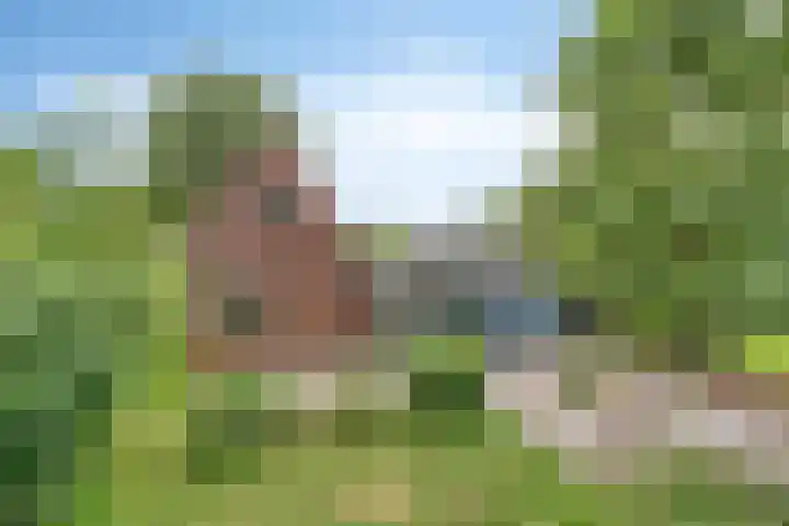 Frijstêd 12 Damwâld thumbnail 24