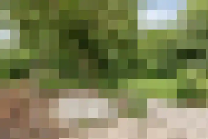 Frijstêd 12 Damwâld thumbnail 25
