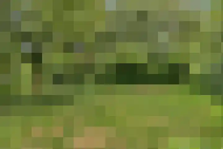 Frijstêd 12 Damwâld thumbnail 26