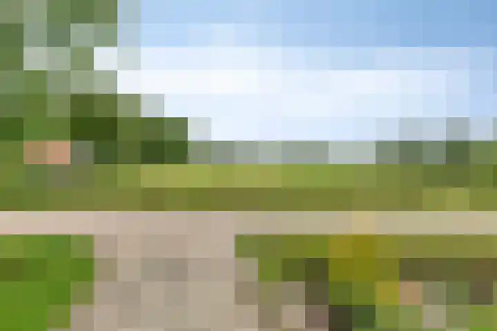 Frijstêd 12 Damwâld thumbnail 27