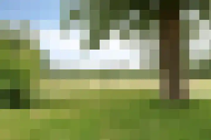Frijstêd 12 Damwâld thumbnail 28