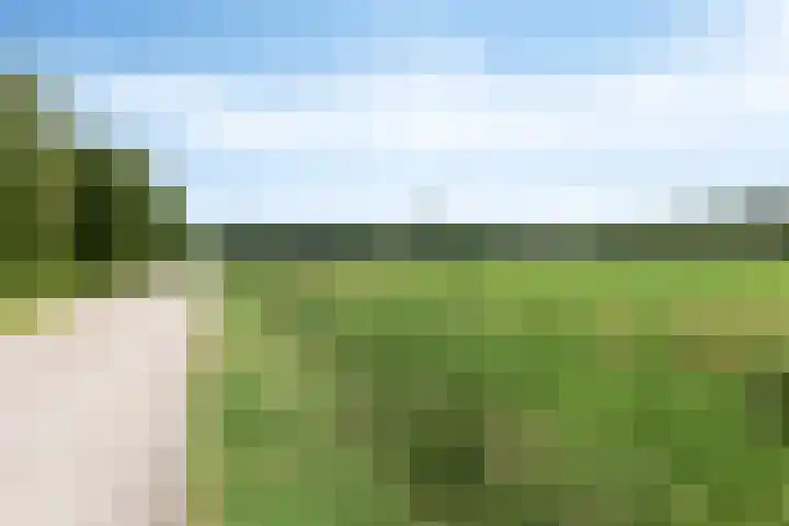 Frijstêd 12 Damwâld thumbnail 29