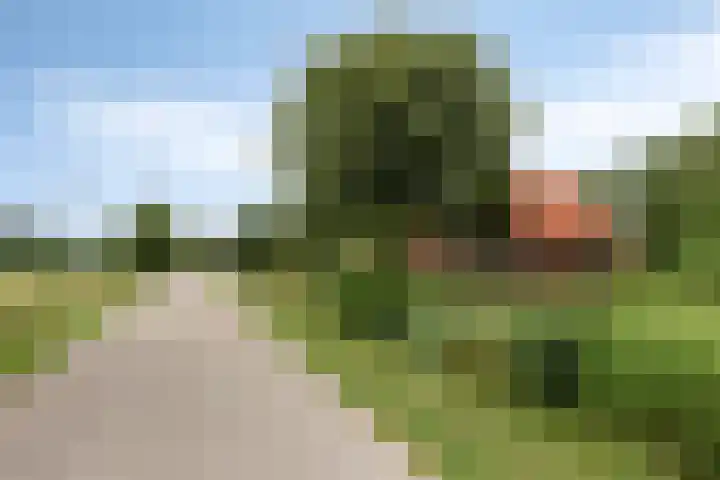 Frijstêd 12 Damwâld thumbnail 30