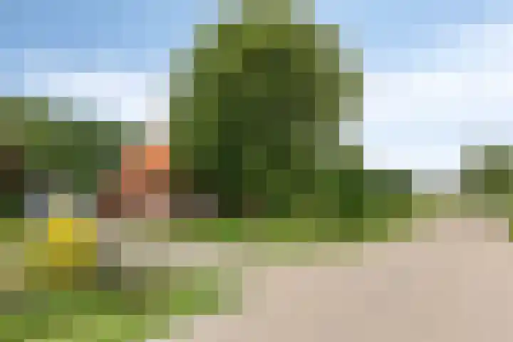 Frijstêd 12 Damwâld thumbnail 31
