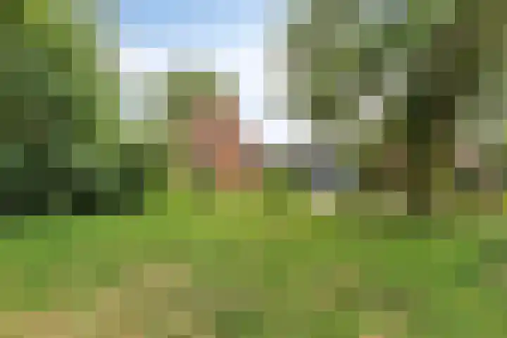 Frijstêd 12 Damwâld thumbnail 4