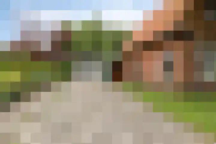 Frijstêd 12 Damwâld thumbnail 5