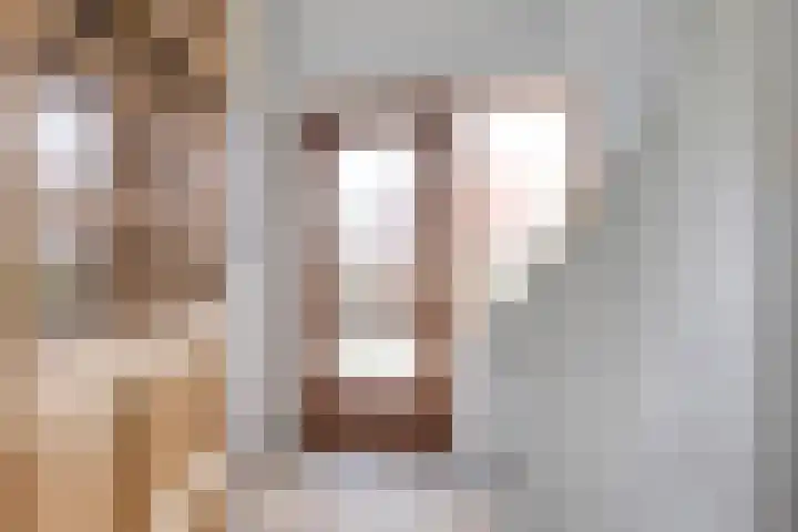Frijstêd 12 Damwâld thumbnail 6