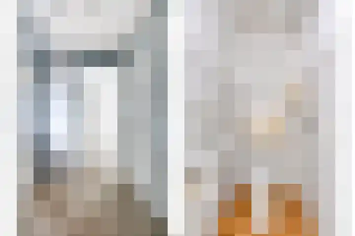 Frijstêd 12 Damwâld thumbnail 7
