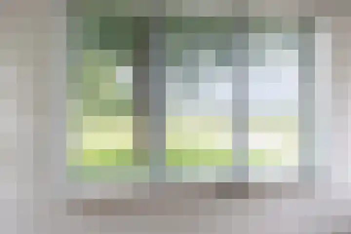 Frijstêd 12 Damwâld thumbnail 9