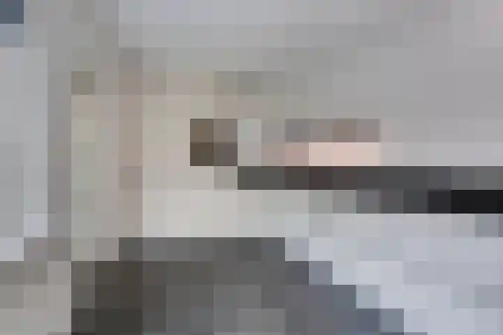 Frima Steenhuis 33 Marum thumbnail 13