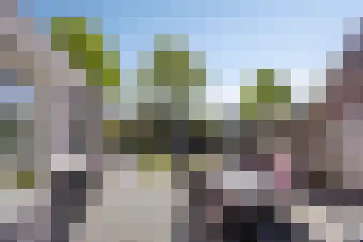 Frima Steenhuis 33 Marum thumbnail 31