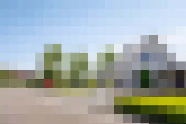 Frima Steenhuis 33 Marum thumbnail 5